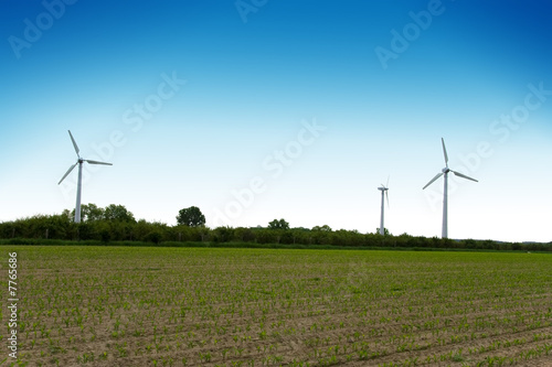 Wind turbines farm. Alternative energy source.