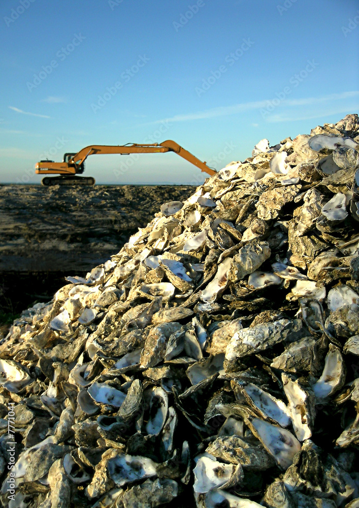 Obraz premium pollution