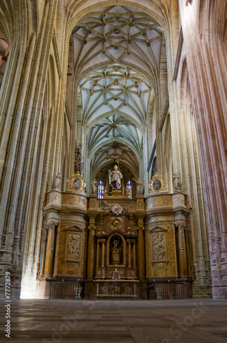 The Choir in Santa Maria Cathedal of Astorga. Spain