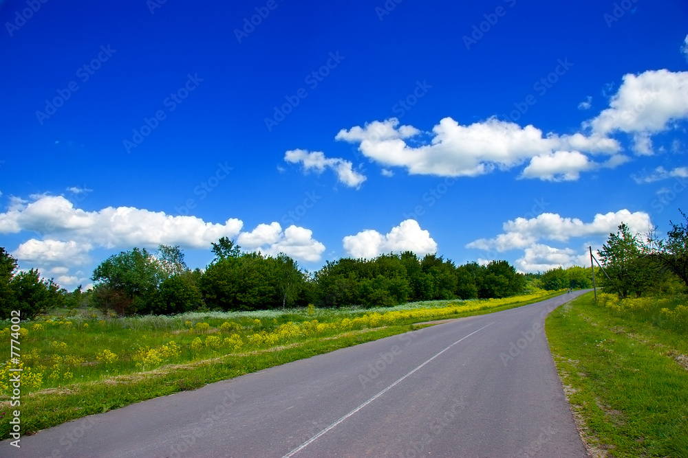 Road, green field with flowers and blue beautiful sky