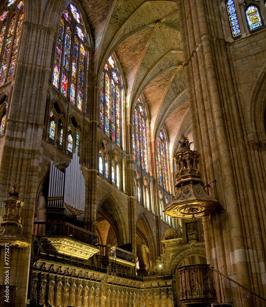 Choir in Santa Maria de Leon Cathedral. Leon, Spain