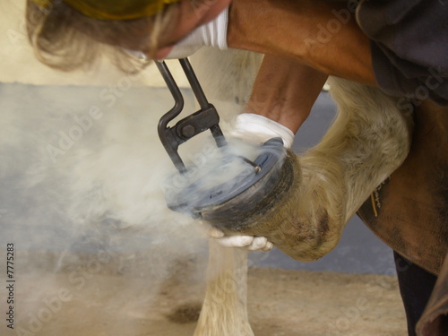 poniendo herradura