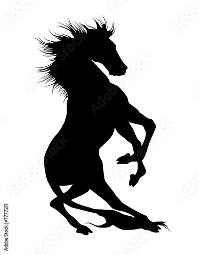 Fototapeta Naklejka Na Ścianę i Meble -  Horse silhouettes