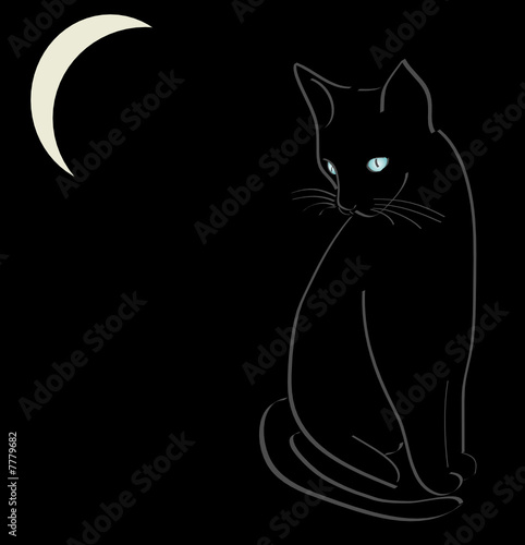 a0255 - Chat assis au clair de lune
