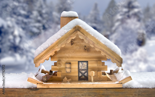 Wooden Bird House Feeder in Snow