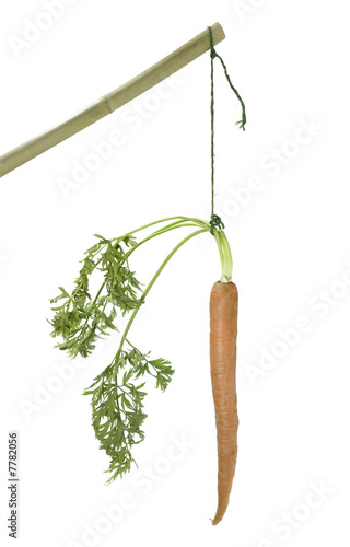 Carrot on a Stick on White