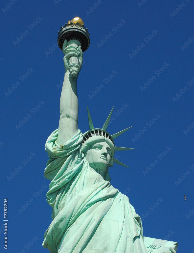 Fototapeta premium Statue of Liberty