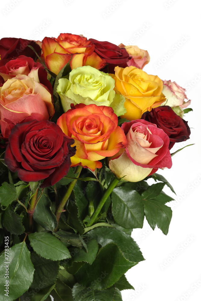 Bouquet of roses