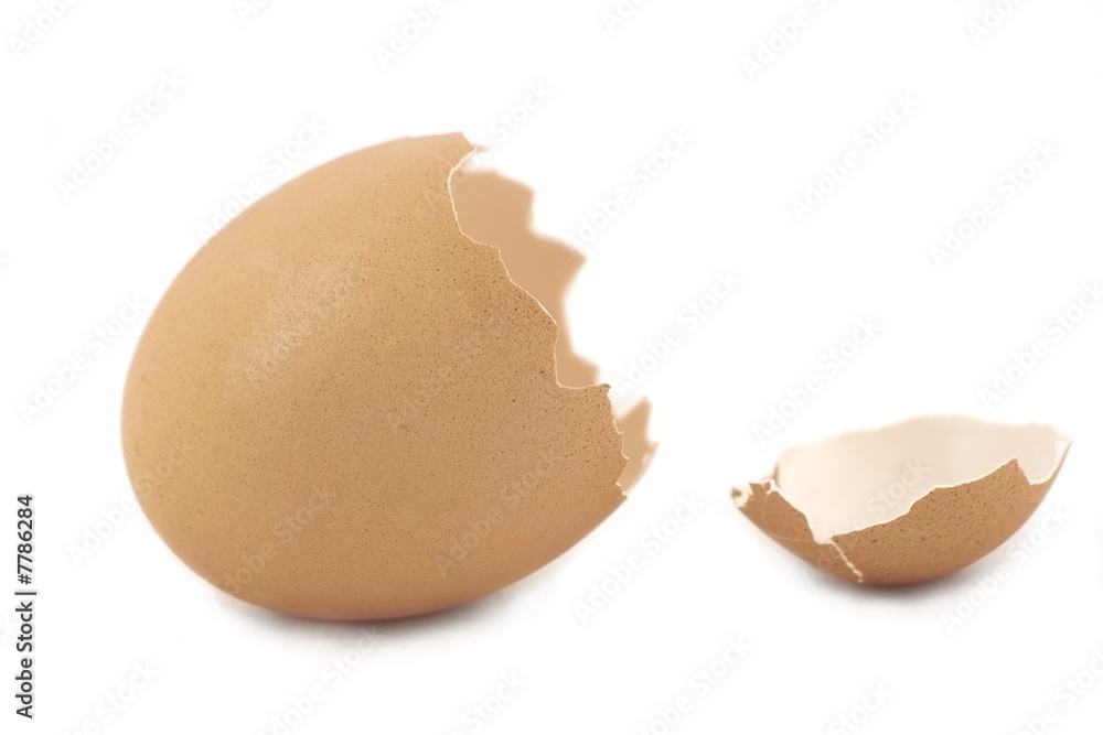Broken eggshell Broken eggshell