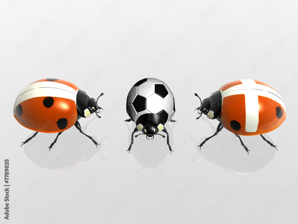 Fototapeta premium Marienkäfer spielen Fußball
