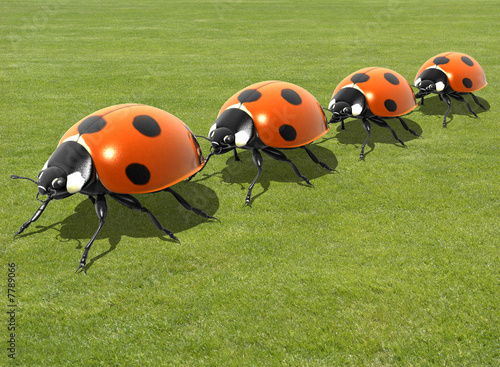 Marienkäferfamilie im Anmarsch