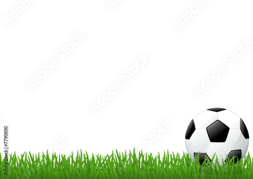 Pelouse et ballon de football (pied de page)