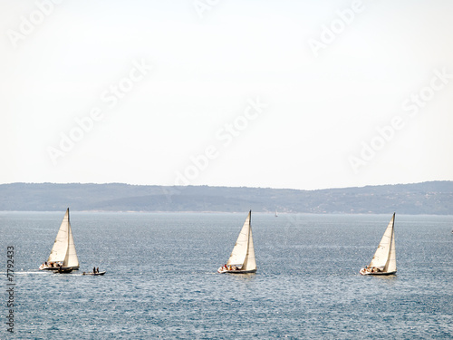 Фотография Race