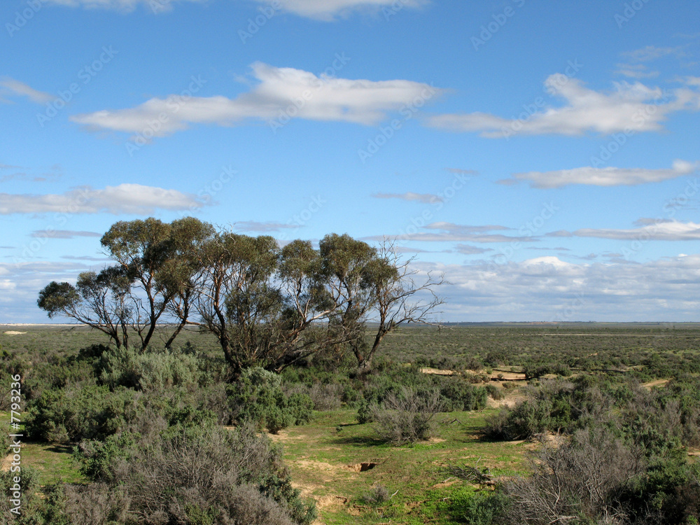 Grassy Plains - Willandra Lakes National Park, UNESCO, Australia