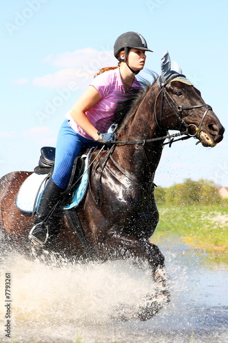 Reitsport