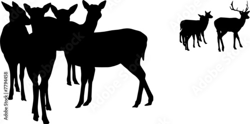 deer  herd vector silhouette     illustration 