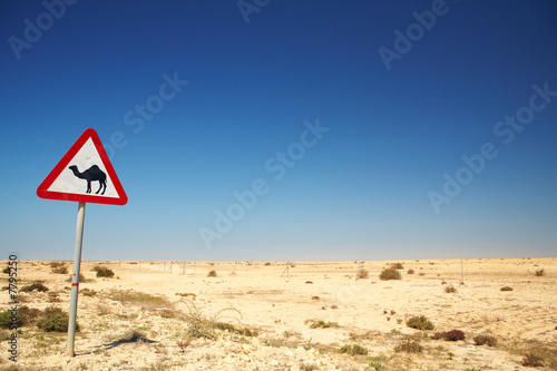 Camel warning sign