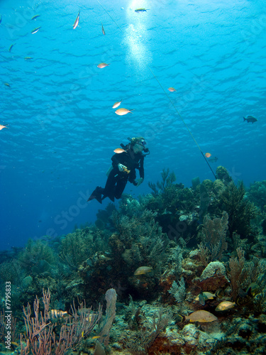 Scuba Diver looking upward in Cayman Brac