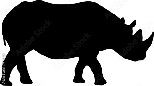 Nashorn