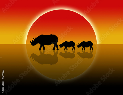 Nashorn in der Wüste © PixelPower