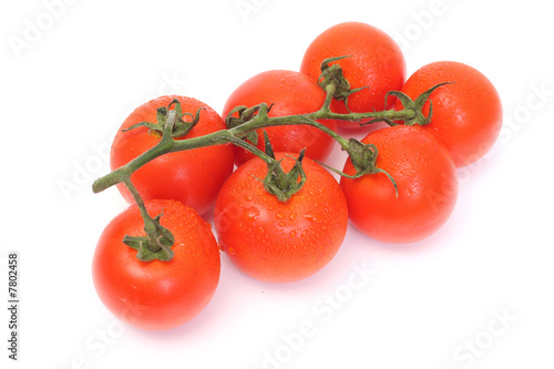 Obraz na płótnie Seven tomatoes with drops w salonie