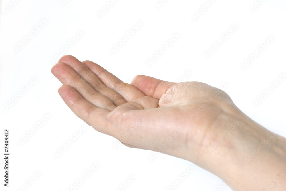 hand hand