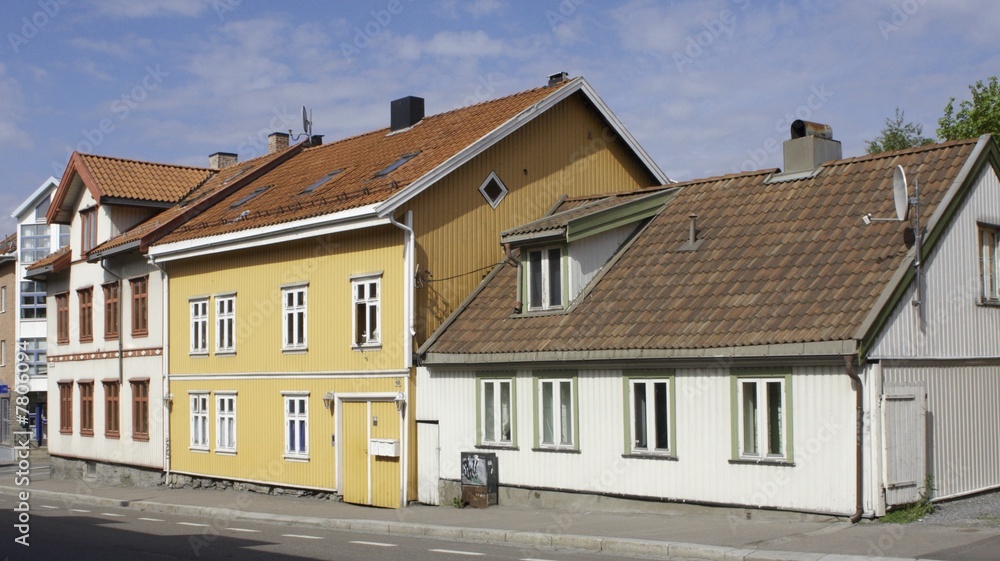 Wooden house