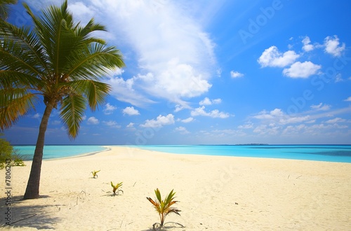 Infinity tropical beach