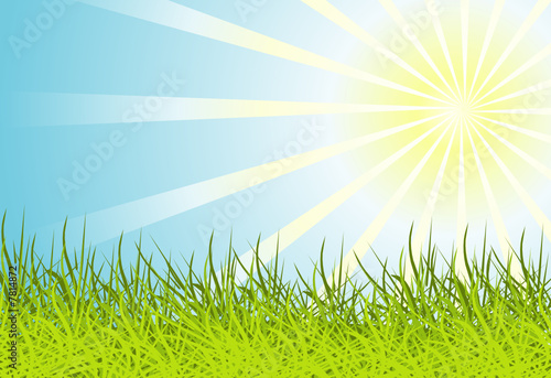 Sun and grass background