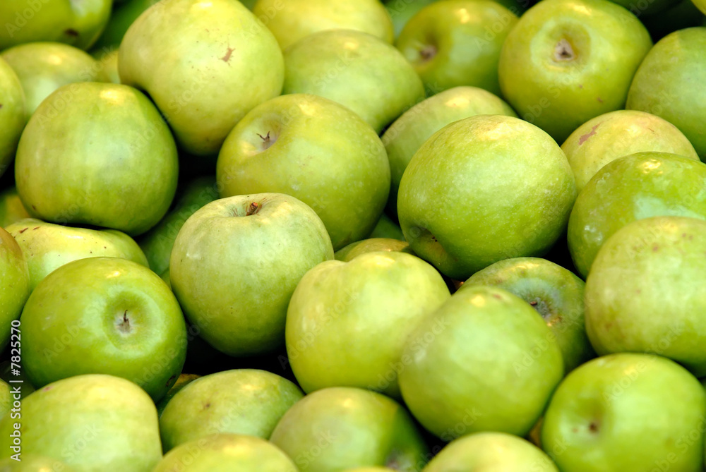 Apples Apples