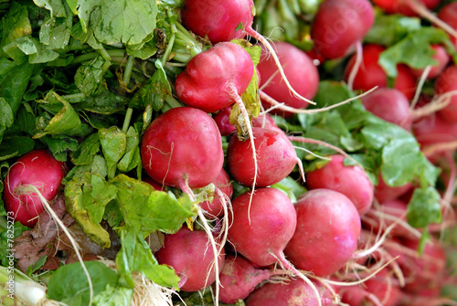 Radish