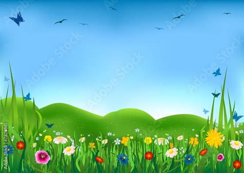 Flowering Meadow - Beautiful flowers