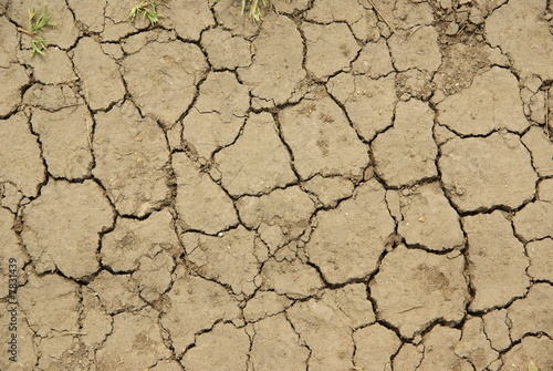 Mud, Mud, Glorious Mud