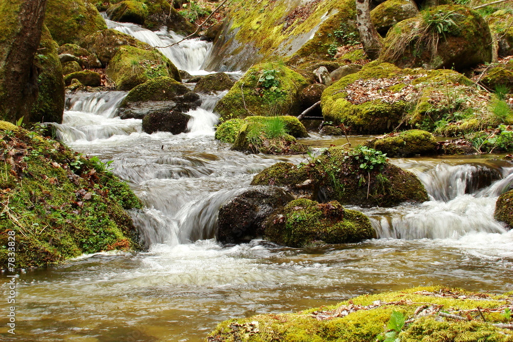 Fototapeta premium Cascade dans une rivière