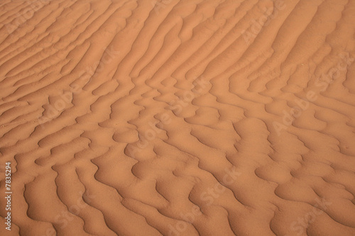 sable photo