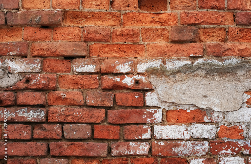 Fototapeta premium Brick wall