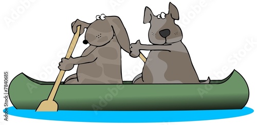 Two Dogs In A Canoe