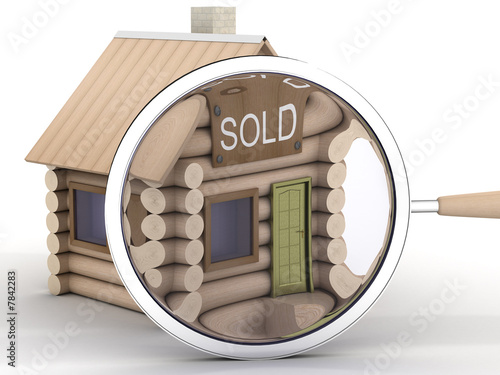 Wooden small house and magn...