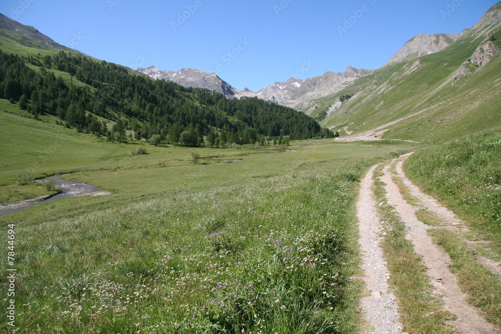 Le Lauzanier, parc du Mercantour