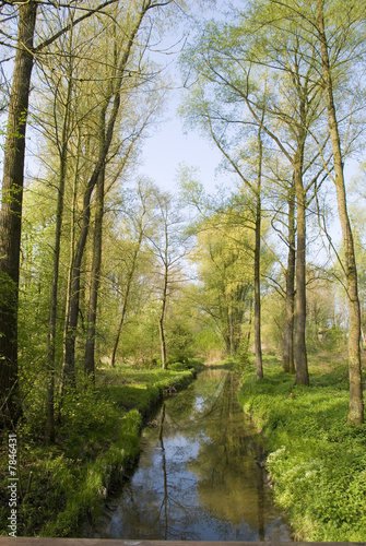 Bachlauf