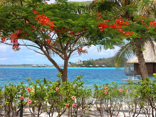 Bora Bora