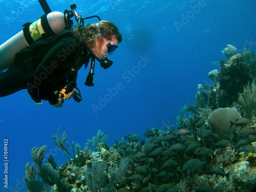 Woman Scuba Diver looking at A School of Fish