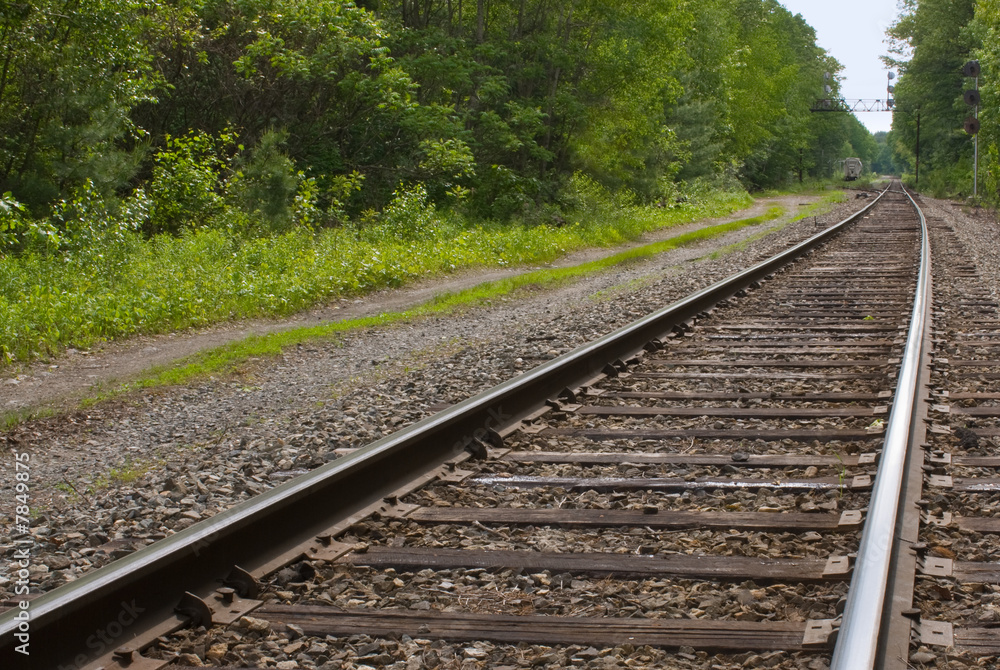 Railroad, train tracks in forest, leading to the horizon Railroad, train tracks in forest, leading to the horizon