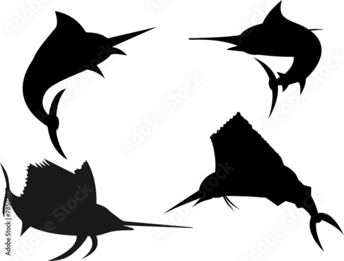 Marlin and saifish silhouettes