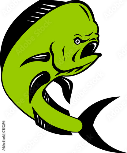Dolphin fish