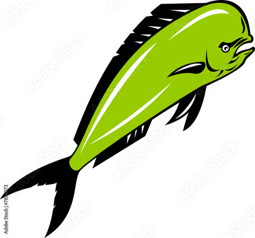 Dolphin fish