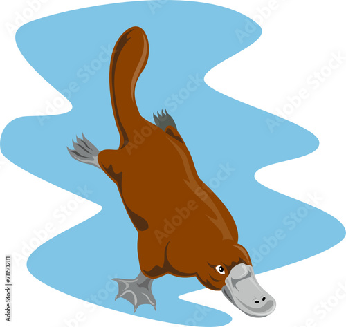Platypus