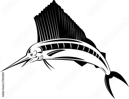 Sailfish