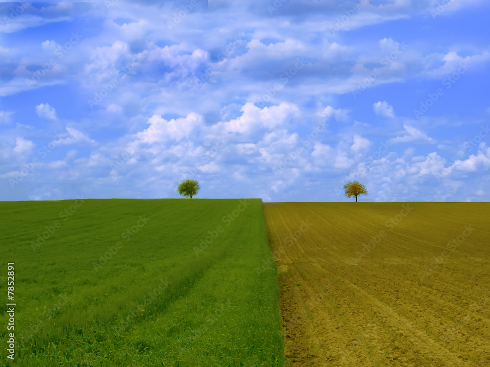 Obraz premium Couple three on the field