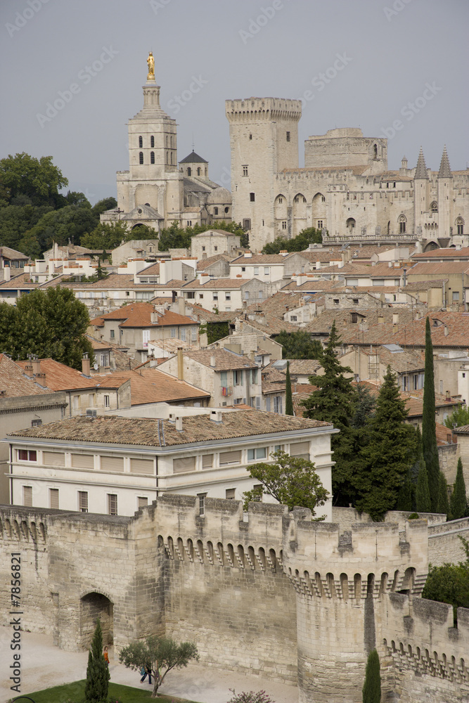 Palais des Papes -Popes Palace- Avignon, Provence, France